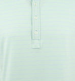 Polo Ralph Lauren mens Active Fit Stretch Cotton Polo Short Sleeve
