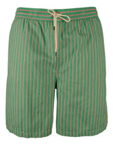 Polo Ralph Lauren Men's Big And Tall Striped Swim Trunks-G-XLT