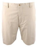 Men's Big & Tall Stretch Classic Fit 10 Inch Chino Shorts Beige 40 T