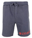 Polo Ralph Lauren Men's Big And Tall Logo Fleece Short