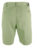 Polo Ralph Lauren Men's Classic Fit 9 Inch Inseam Shorts G 36