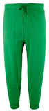 POLO RALPH LAUREN Men's Big & Tall Double Knit Drawstring Jogger Pant Grn 4XB Green