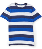 Polo Ralph Lauren Men's Striped Custom Fit Cotton T-Shirt, Cruise Navy Multi (Medium)