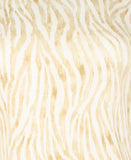 Tommy Bahama Women's Darcy Zesty Zebra Dress GHn Small