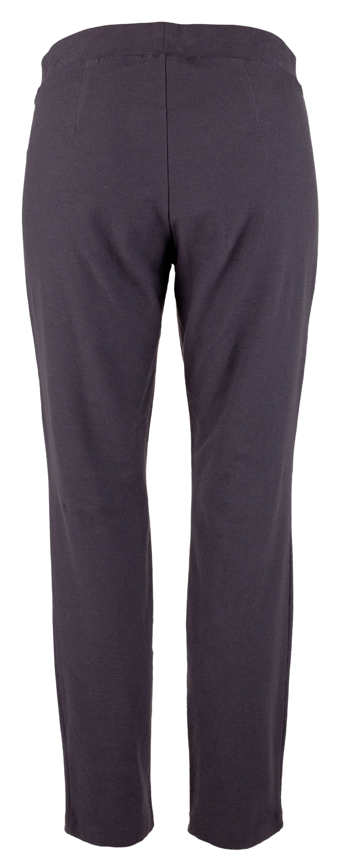 Eileen Fisher Women's Slim Ankle Pant Strech Leggins Blue XXS